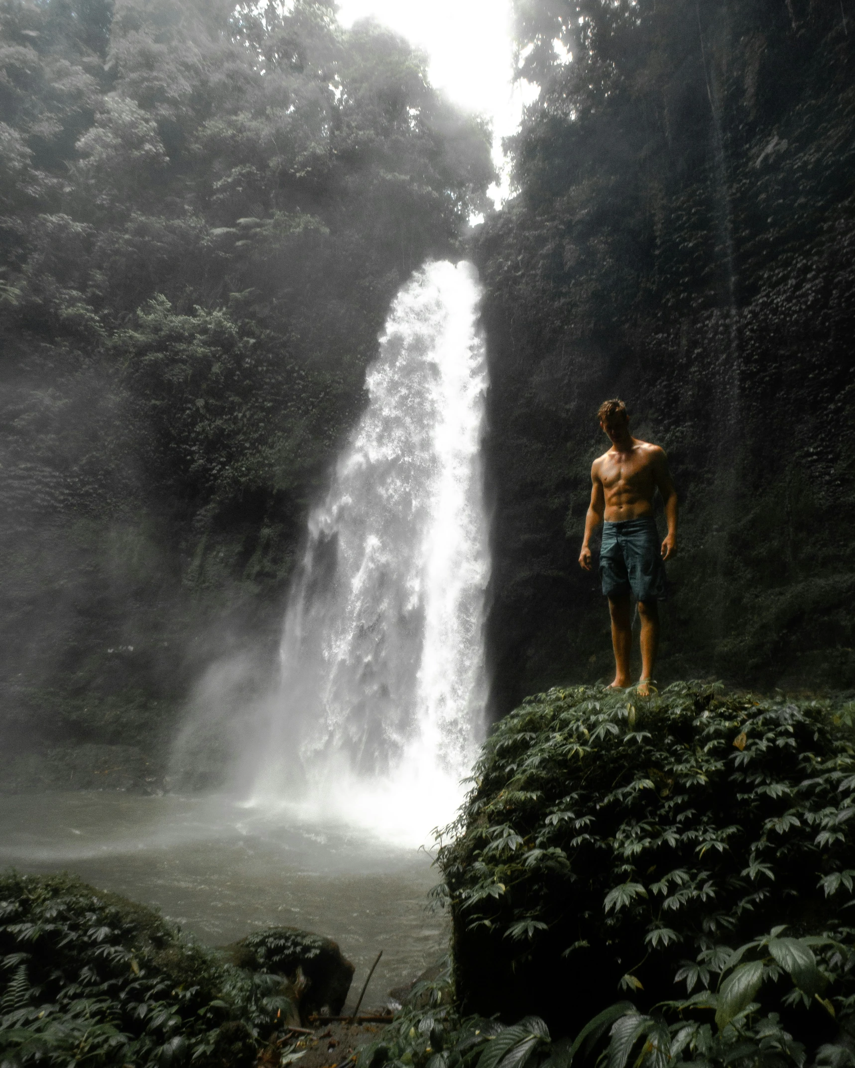 a man standing next to a waterfall in the middle of jungle