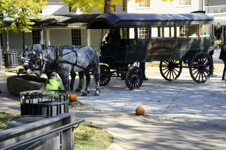 two horses pulling a carriage and people looking on