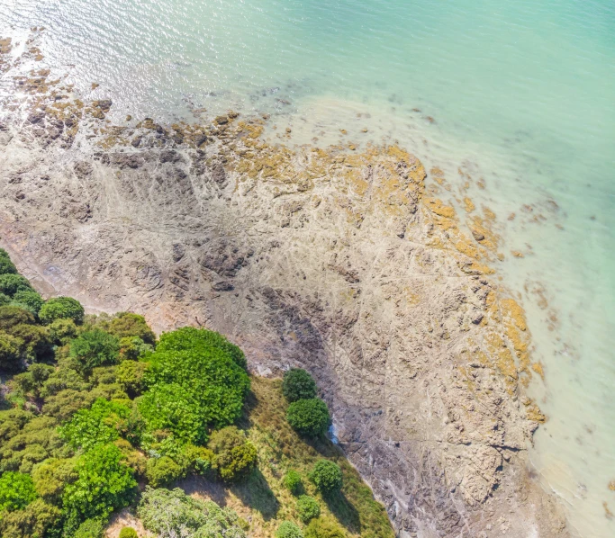 an aerial view of the sea and some trees