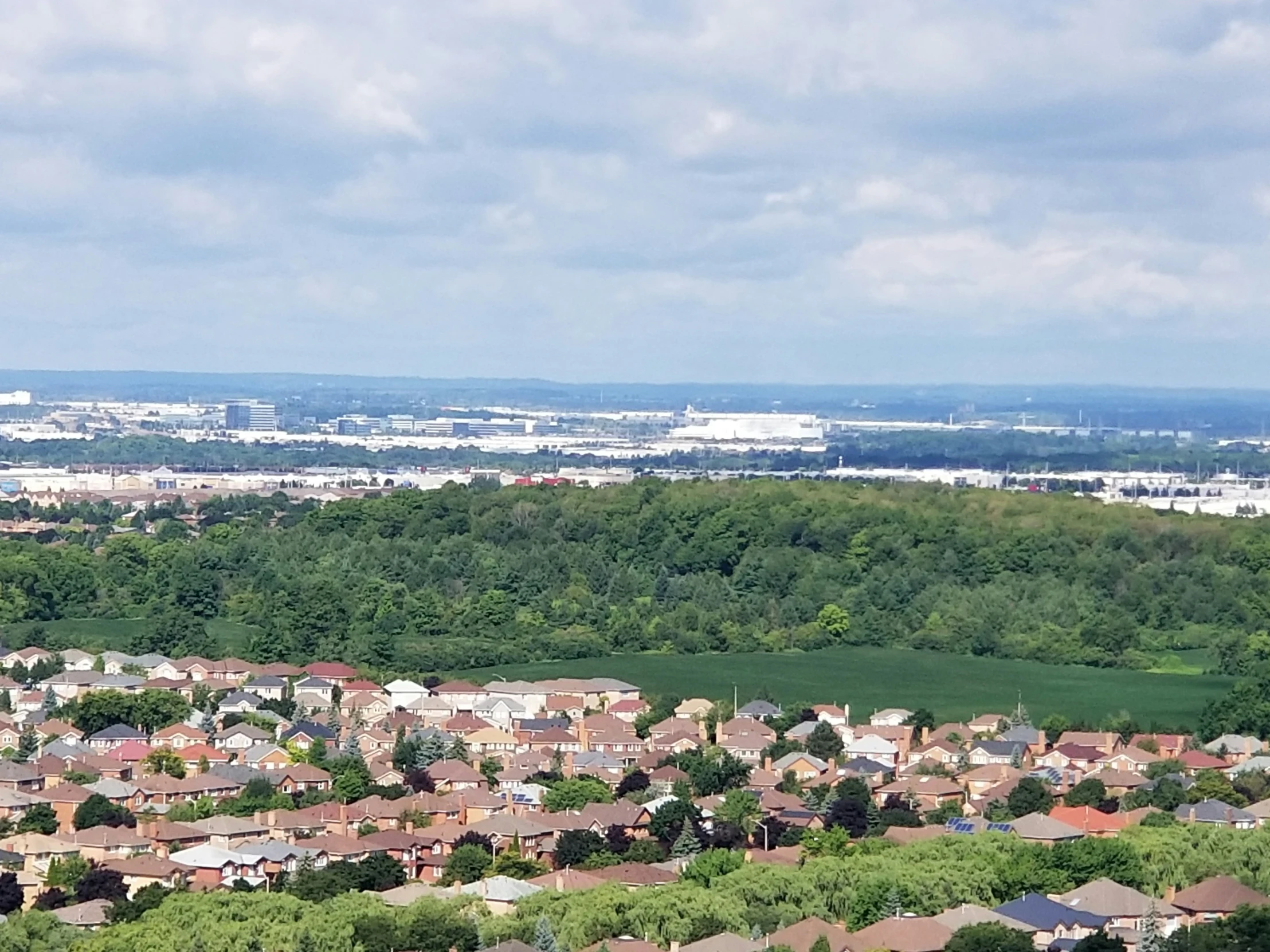 a view of some green trees and buildings