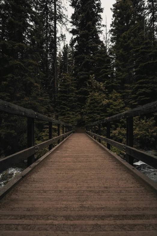 a wooden walkway with benches crossing it through the woods