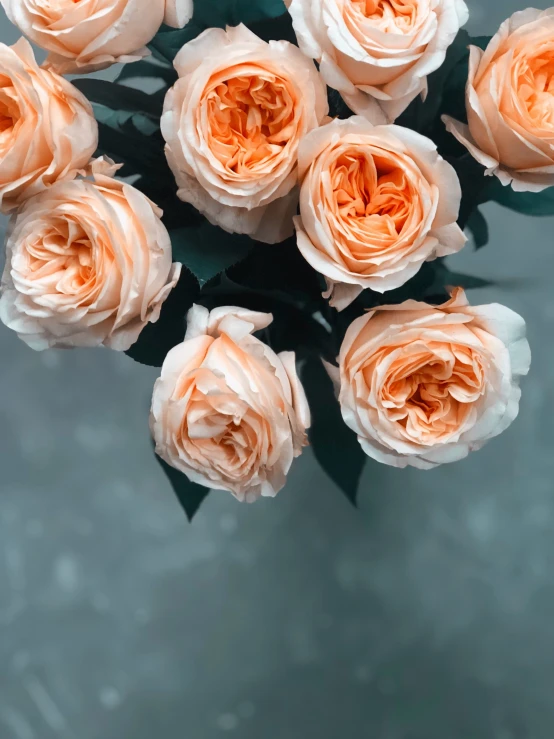 a bouquet of peach flowers in bloom with water