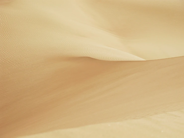 a large group of brown sand dunes next to each other