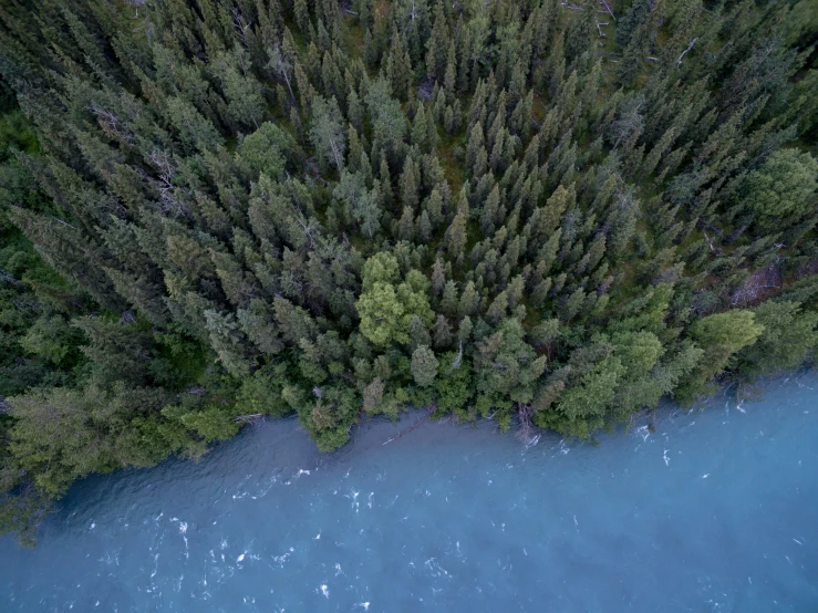 an aerial view of a water way surrounded by trees