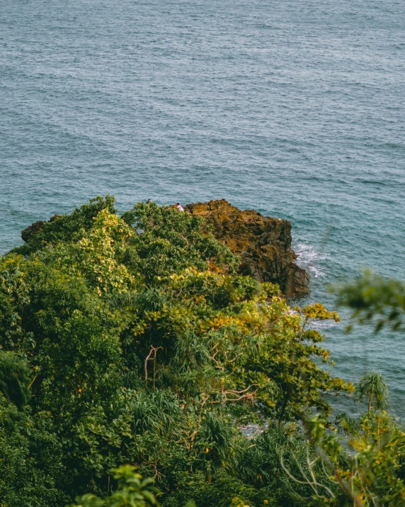 the sea is seen behind some trees near a cliff