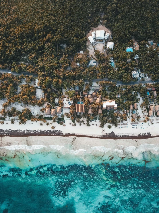 the aerial view of a beach with lots of vegetation and houses