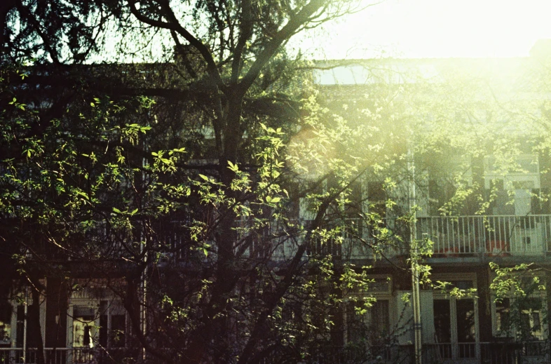 an overhanged view of a balcony and trees