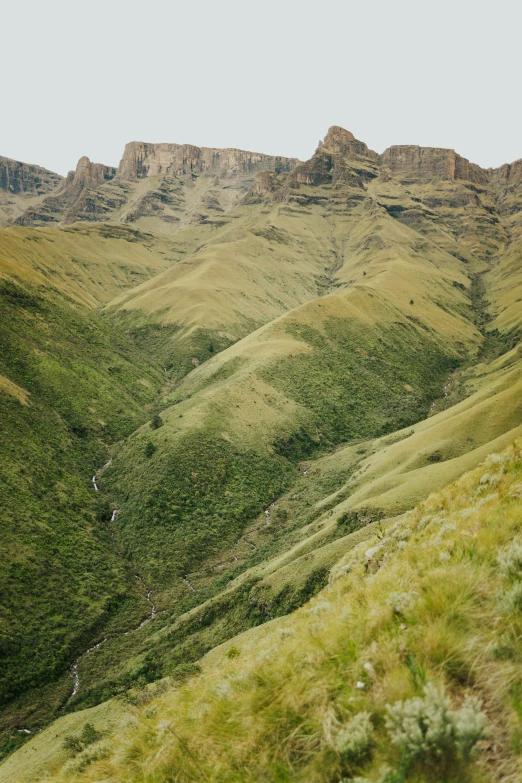 mountains are covered with green grass and plants