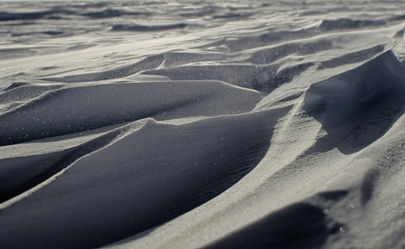 snow covered sand blowing in the wind at the beach