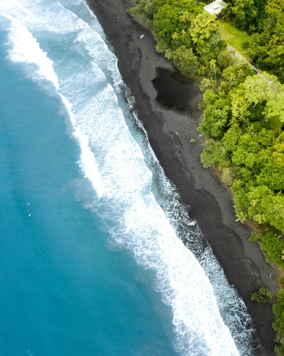 the view of a very scenic beach from a plane