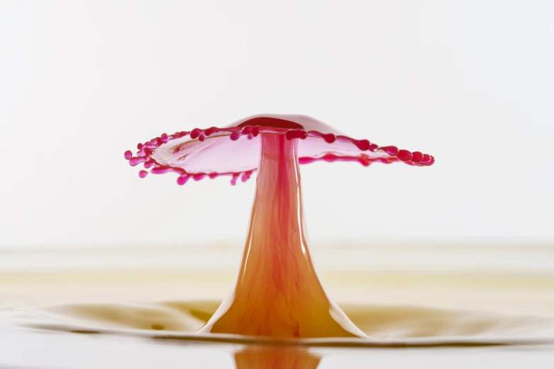 the small flower is placed on top of the liquid