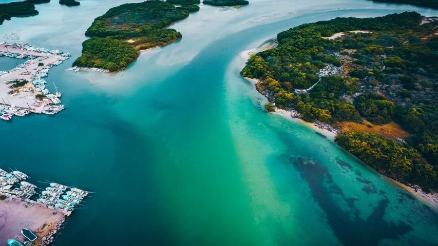 an aerial view of a marina surrounded by forested area