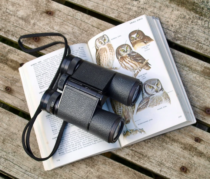 an open book and an owl are on top of a bench