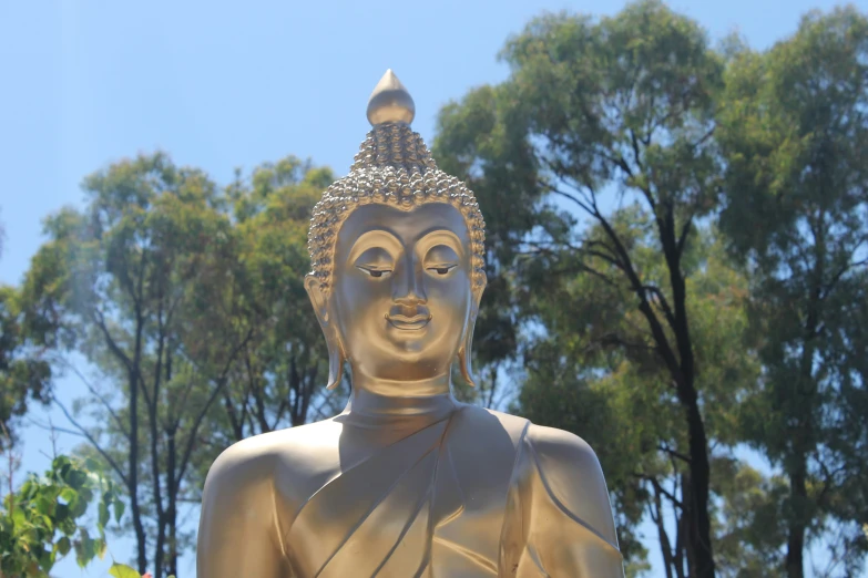 the large buddha statue is in front of some trees