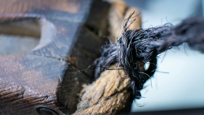 the bird's head is being covered with wood