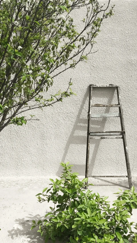 an abandoned ladder leaning against a stucco wall