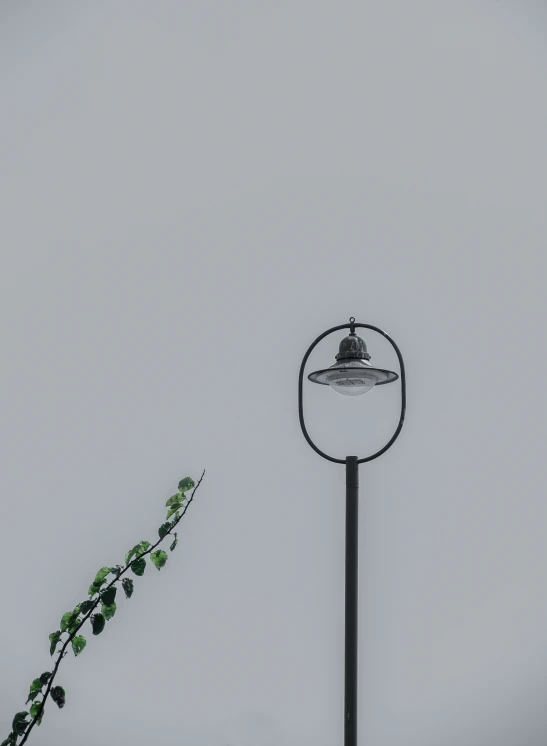 an old fashioned lamp with some leaves on it