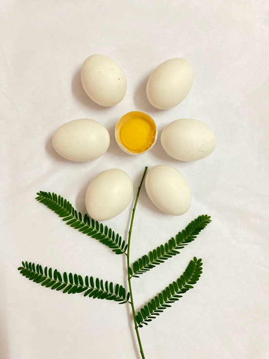 some green leaves and three eggs with one half on top