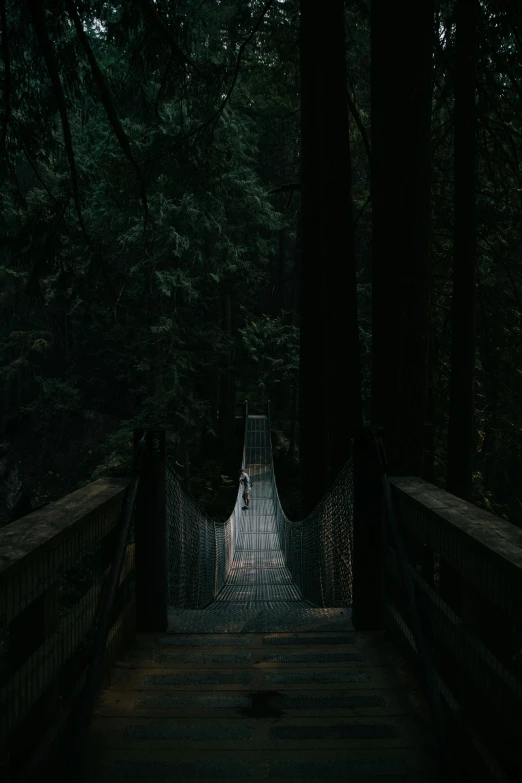 a tree is in the background with a path going down to it