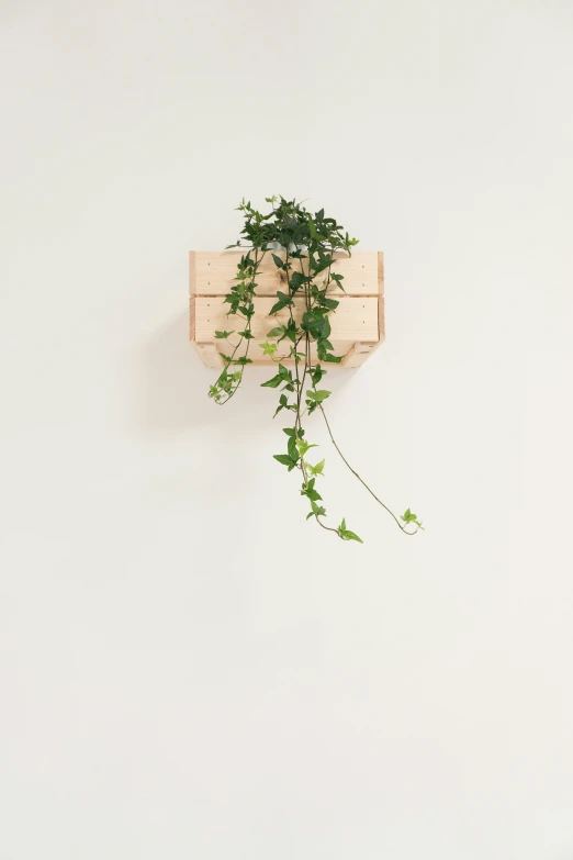 a wooden wall clock sitting above a vine