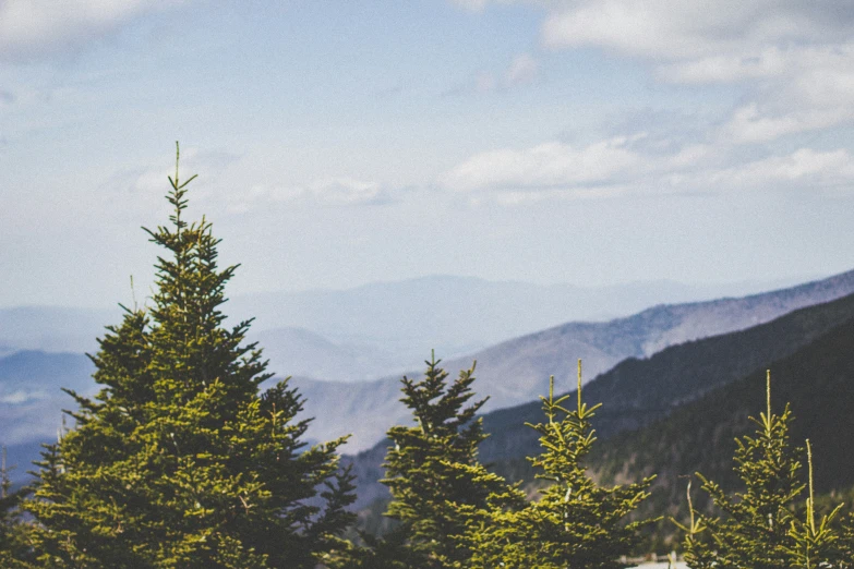 mountains are in the distance as trees stand at the bottom of the frame