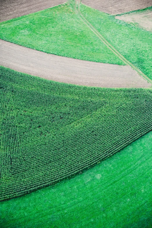 a green field with a curve in the center