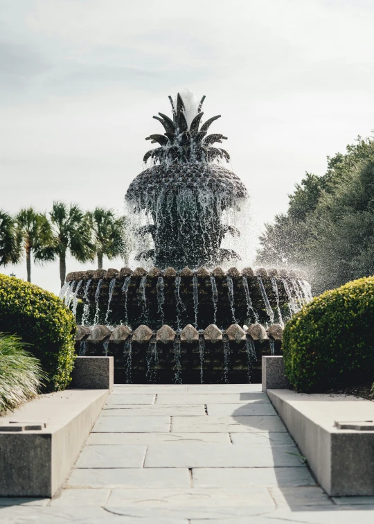 a small fountain surrounded by a palm tree