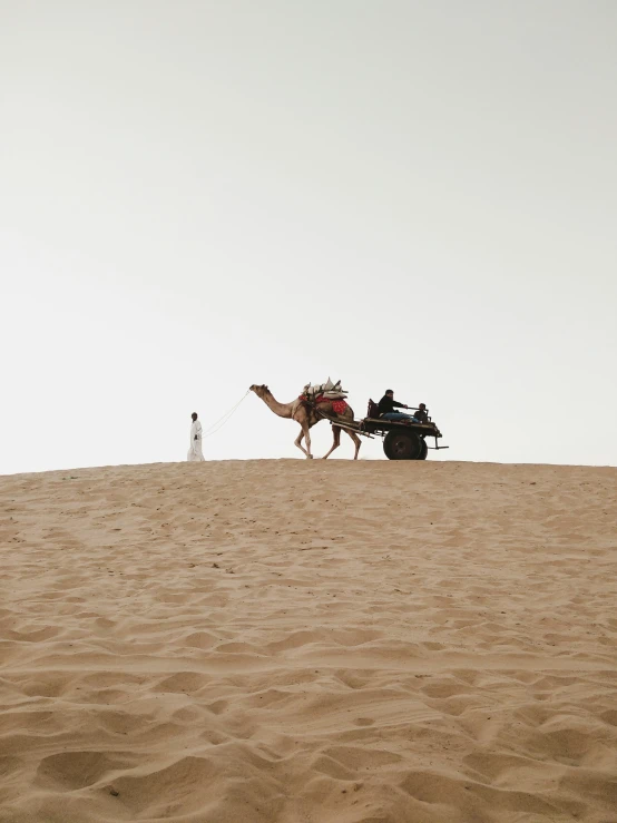 camel walking with man on it in desert