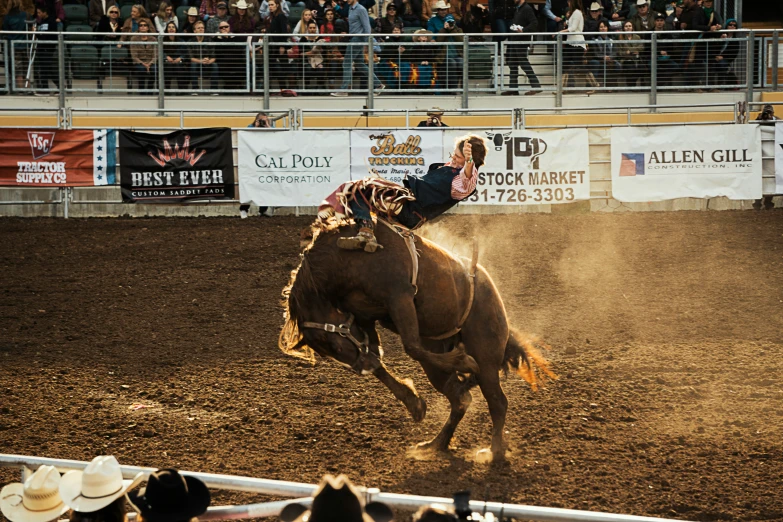 a person that is riding on the back of a horse