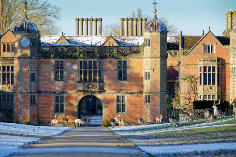 the large building is on top of the hill