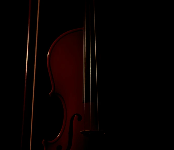 a violin is standing in the dark