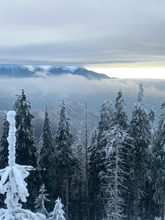 a mountain range that has snow covered trees and snow - capped mountains in the distance