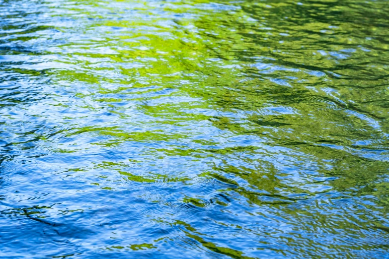 green water reflects its light in the bright blue water