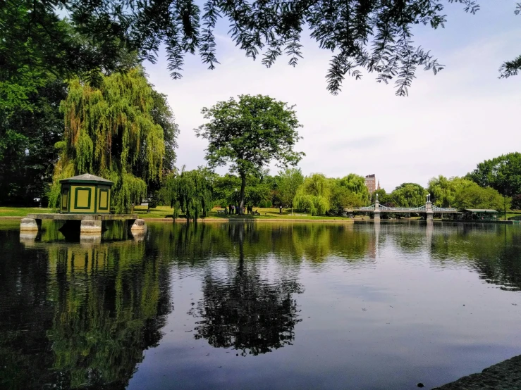 an open pond in a park, with some trees and water