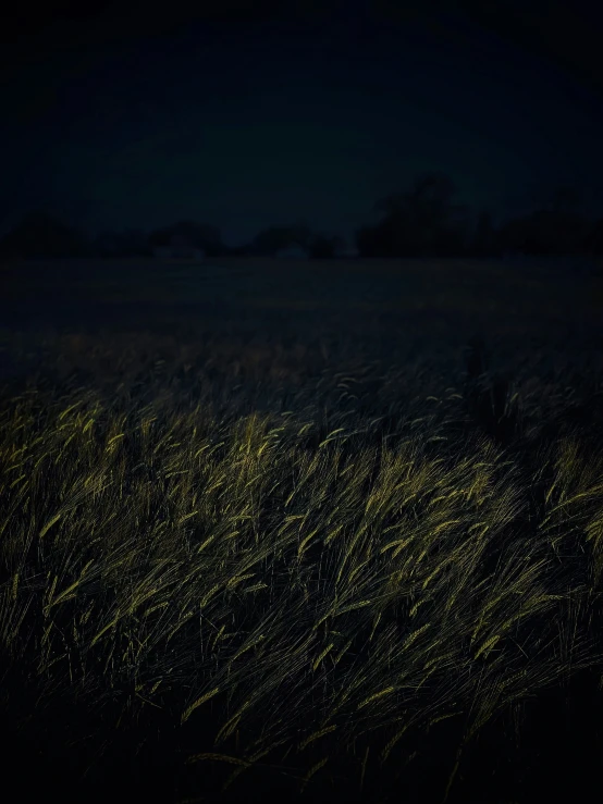 a field at night with some very bright yellow light