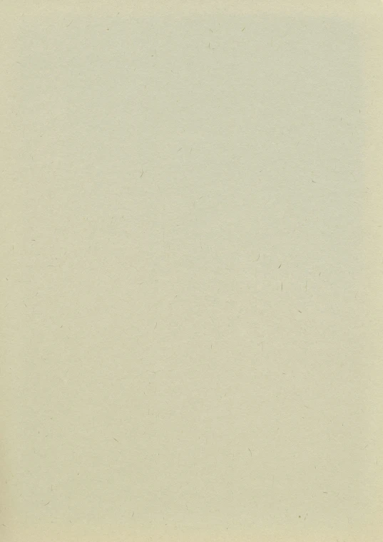 the old pograph shows the faded white colors