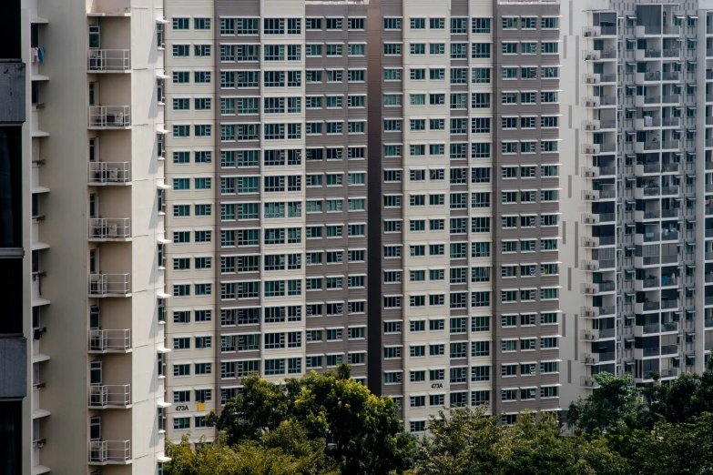 an apartment building with a few trees in front of it