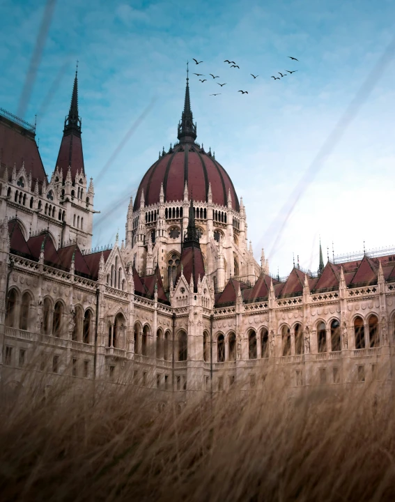 birds fly over a city building with turrets