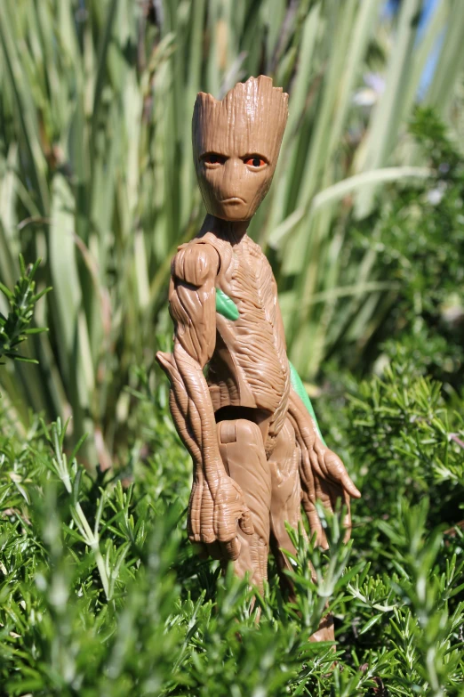 a groote doll in a bush surrounded by plants