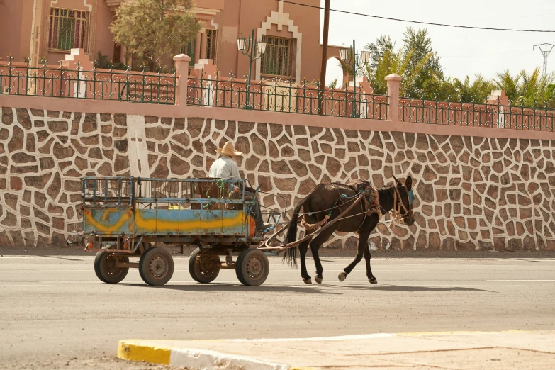 a man riding in the back of a horse drawn carriage