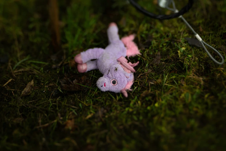 a stuffed toy is laying on the ground outside