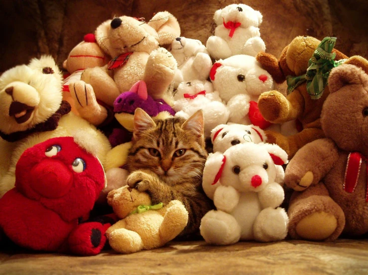 a cat sits among a selection of stuffed animals