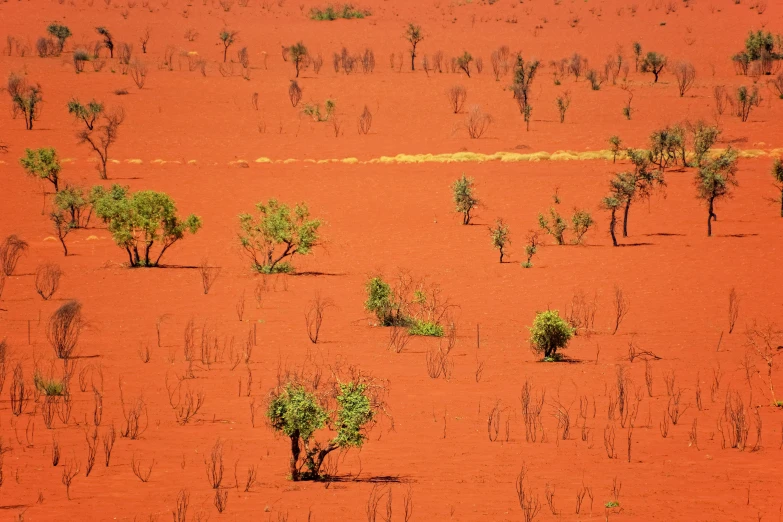 an overview image of some sp, green trees