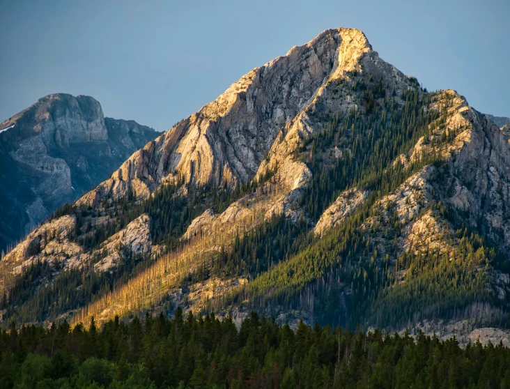 a very tall mountain rising above some trees