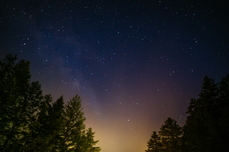 a night time sky with stars and trees