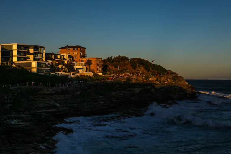 people in the waves near some els on a hill