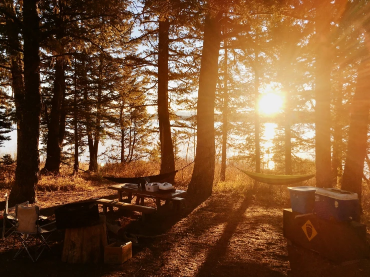 a sun setting on the woods with a hammock in the shade