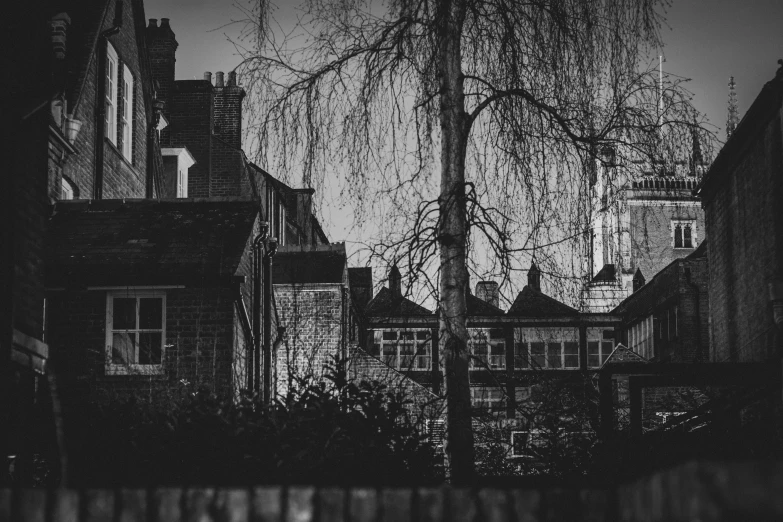 the view of a tree in the city from the ground