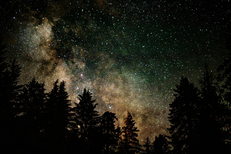 the night sky is covered in stars and trees