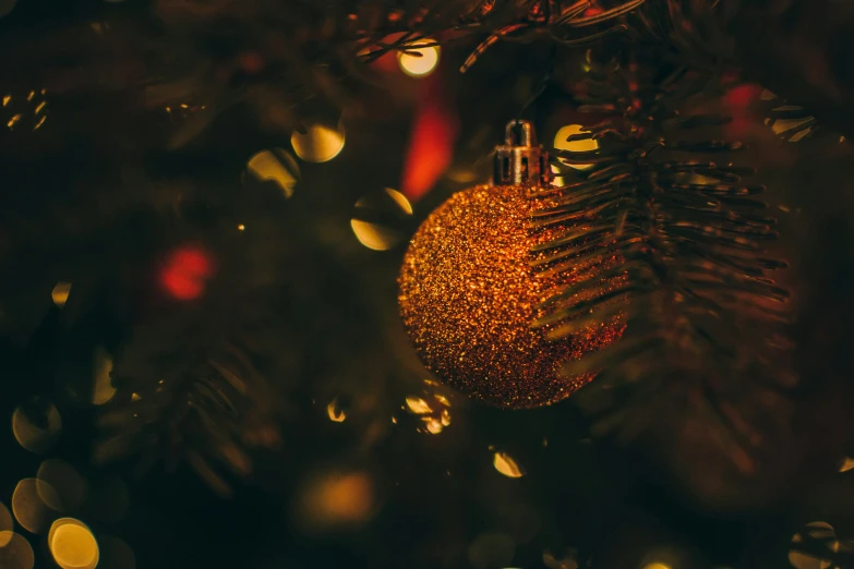 a shiny ornament hanging on a tree